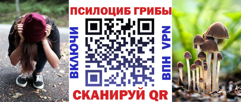 как найти наркотики  Черногорск  сайты даркнета наркотические препараты  Галлюциногенные грибы GOLDEN TEACHER 